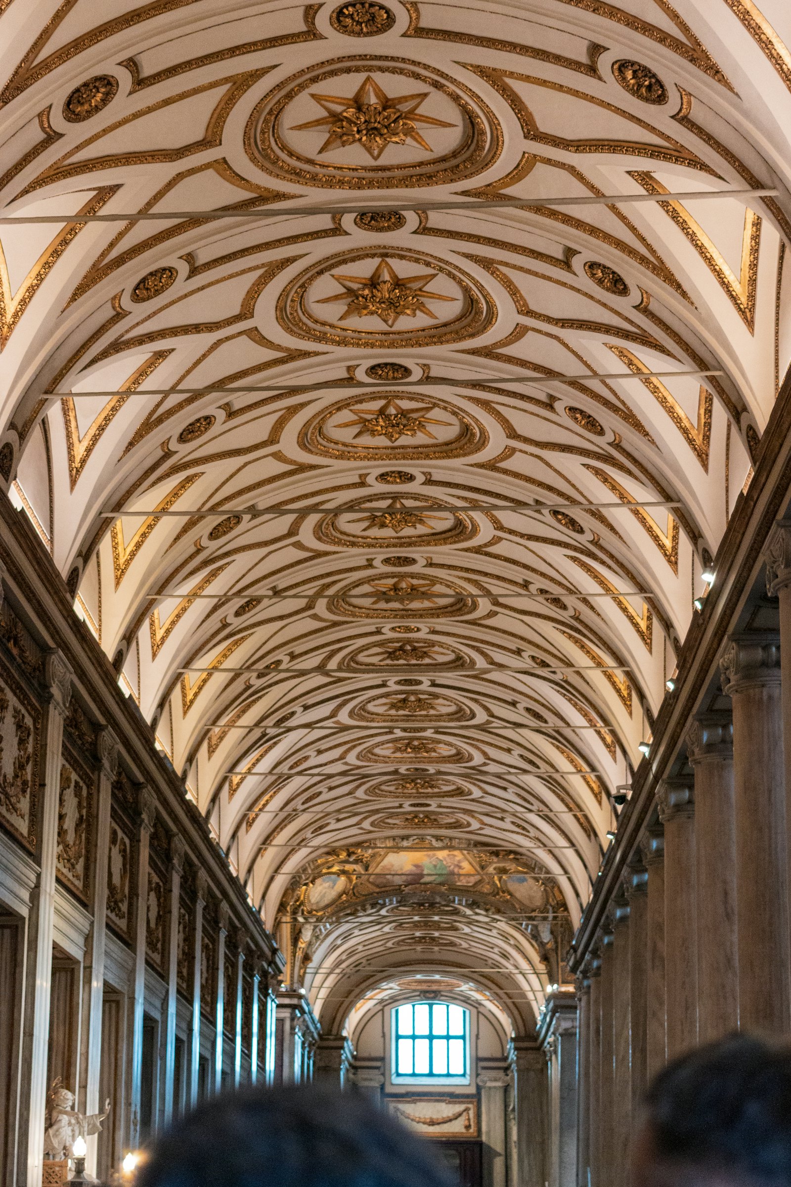 Long vaulted hall with an ornate ceiling
